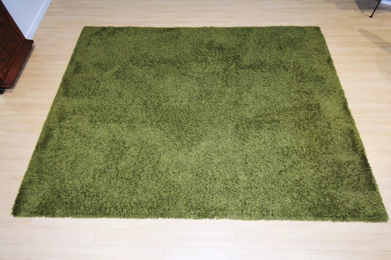 池尻セレクトハウス,ラグ,備品