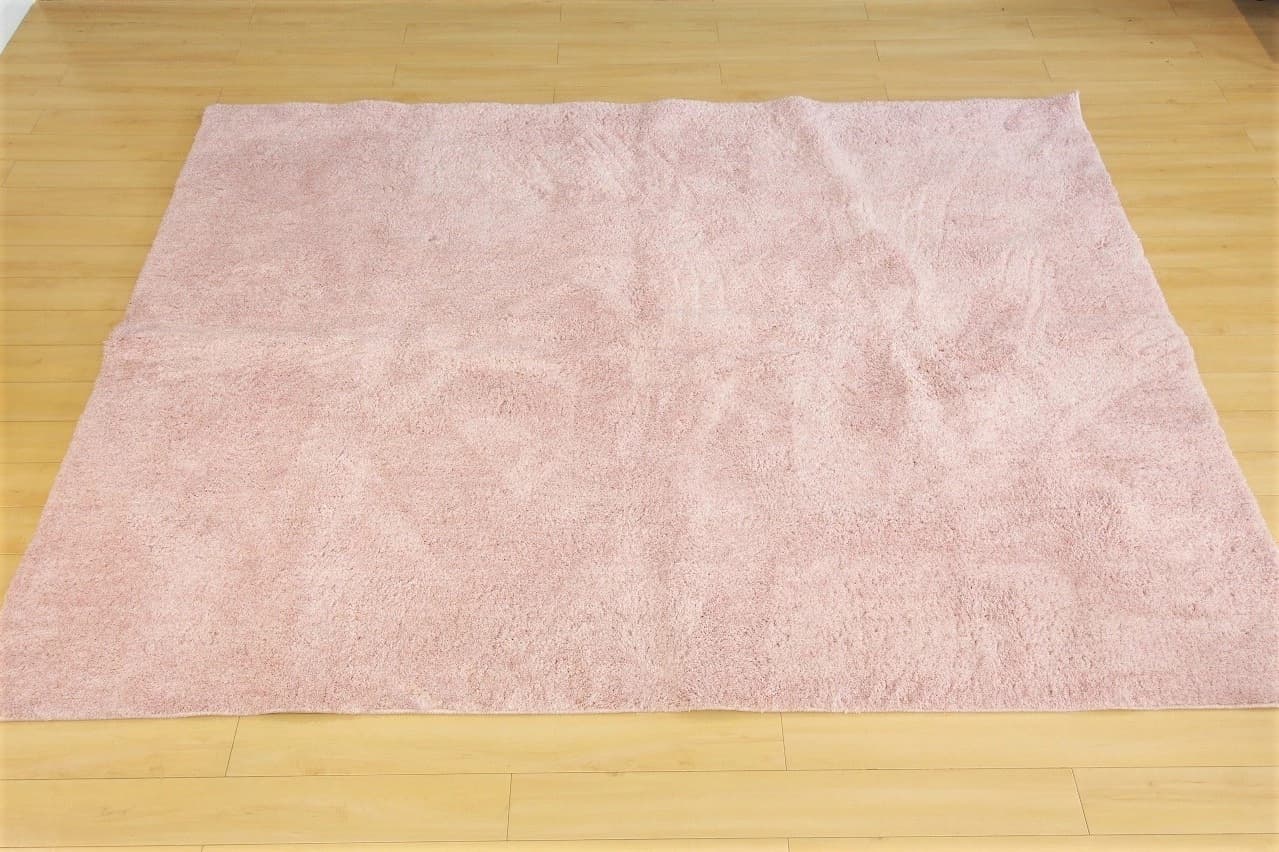 池尻セレクトハウス,ラグ,備品